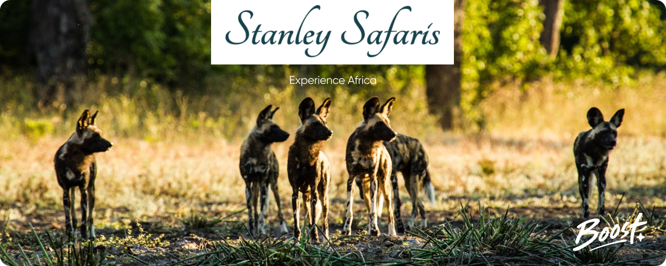 Stanley Safaris