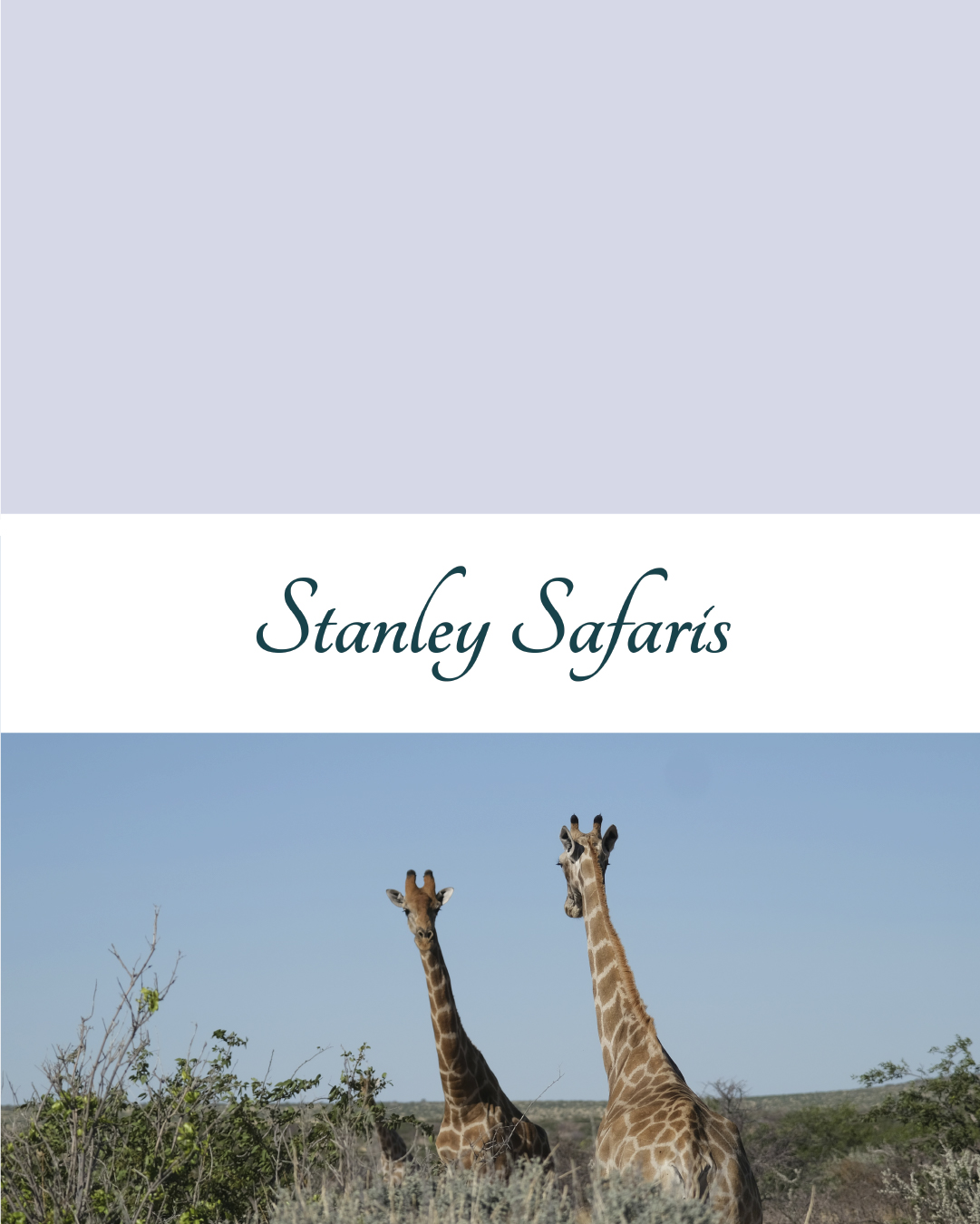 Stanley Safaris - 362% Increase in Monthly Website Leads